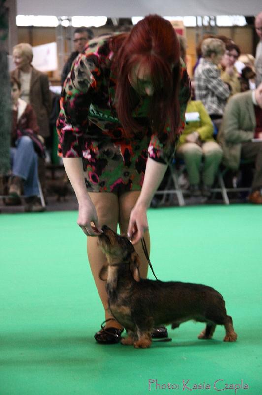 Crufts2011_2 921.jpg